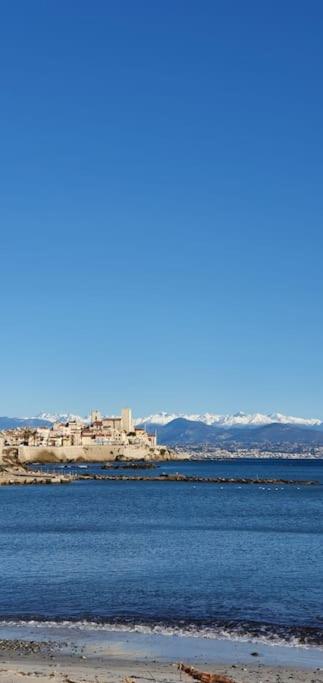 Tribuperez à Juan-Antibes - Apartamento - 22