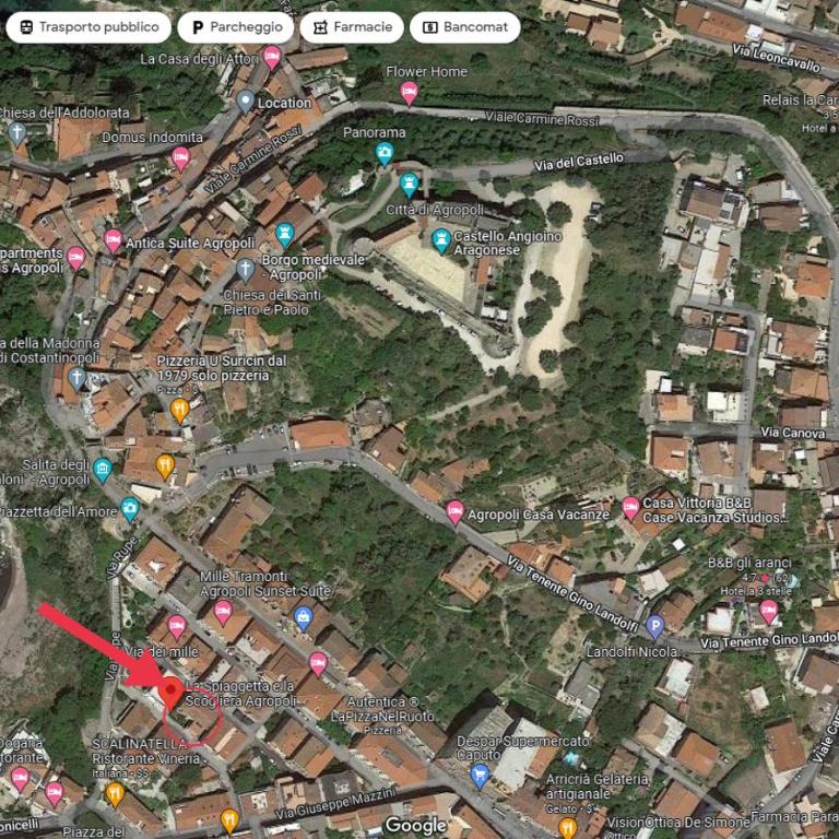 Historical Center with Garden "The Beach and The Cliff" 4 - Appartamento con Vista Giardino - 10