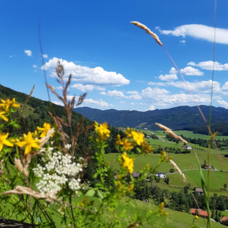 Troadkasten - Ferienhaus am BIO-Bergbauernhof Kammerhofer vlg Roath - Haus mit 2 Schlafzimmern - 68