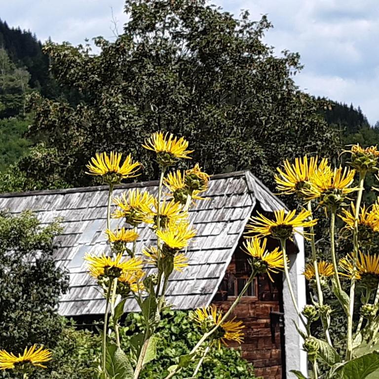 Troadkasten - Ferienhaus am BIO-Bergbauernhof Kammerhofer vlg Roath - Haus mit 2 Schlafzimmern - 69