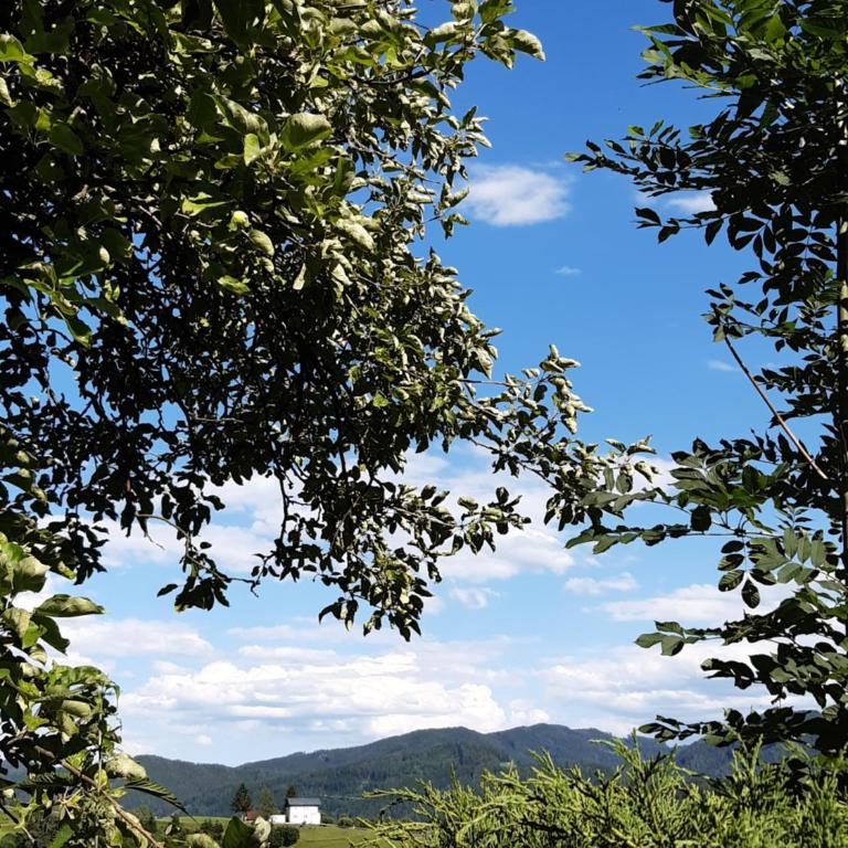 Troadkasten - Ferienhaus am BIO-Bergbauernhof Kammerhofer vlg Roath - Haus mit 2 Schlafzimmern - 55