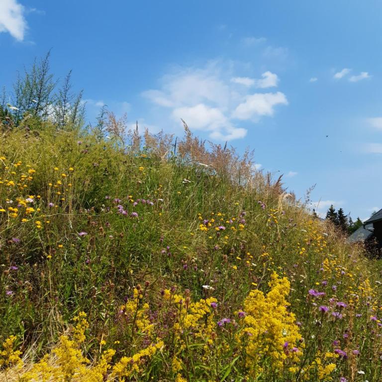 Troadkasten - Ferienhaus am BIO-Bergbauernhof Kammerhofer vlg Roath - Haus mit 2 Schlafzimmern - 56