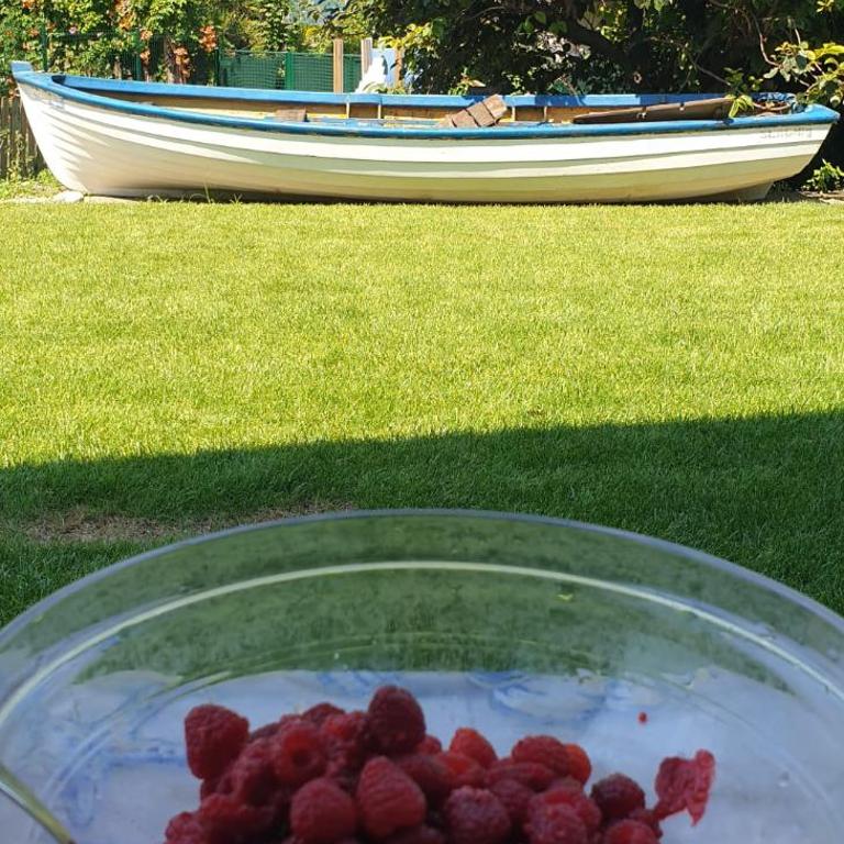 I LAGHEE casette BREVA e TIVANO Lakeside Garden Bike&Boat&Scooter Lake Como - Townhouse - 10