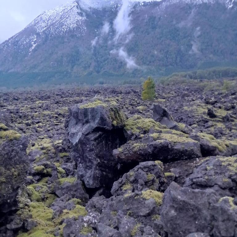 Cabaña Kiñeco melipeuco conguillio - One-Bedroom Apartment - 43