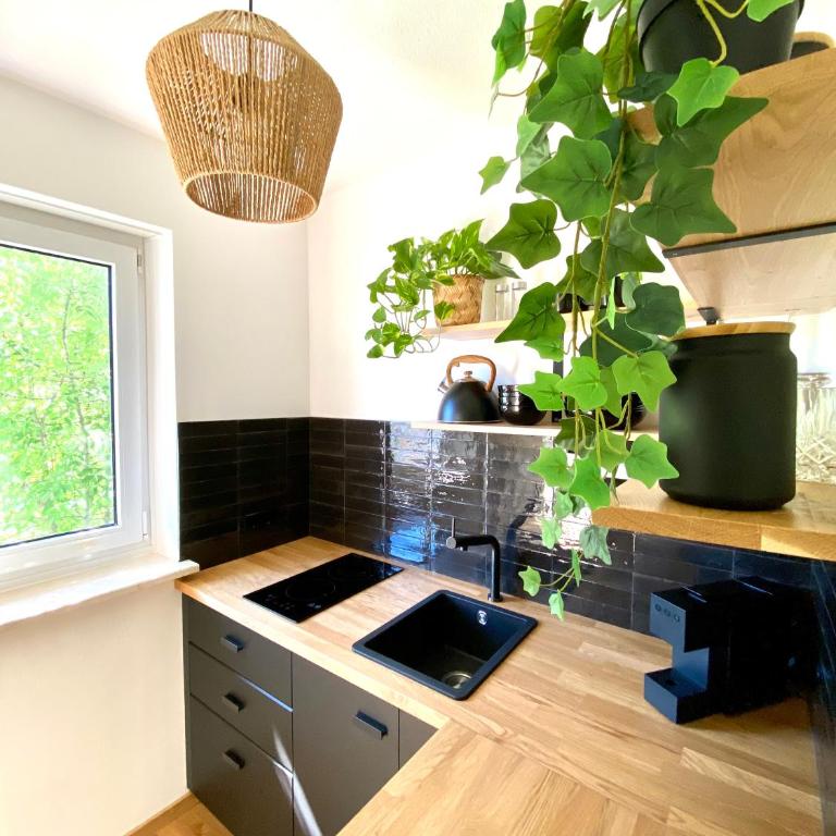 Jungle Suite mit Balkon I Parkplatz I Zentrum - Apartment mit 1 Schlafzimmer - 13