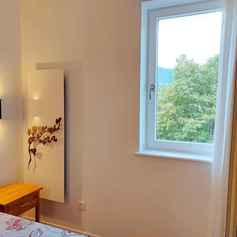 ALPENFLAIR - charming ski-to-door apartment - Apartment mit 1 Schlafzimmer - 5