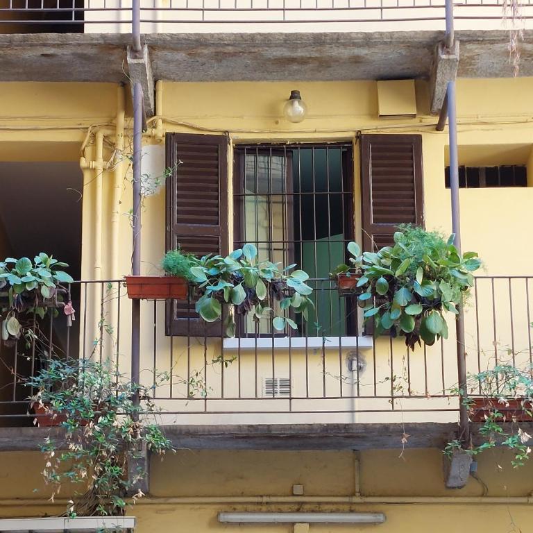 2 Via Fabio Mangone - Appartamento con 1 Camera da Letto - 25