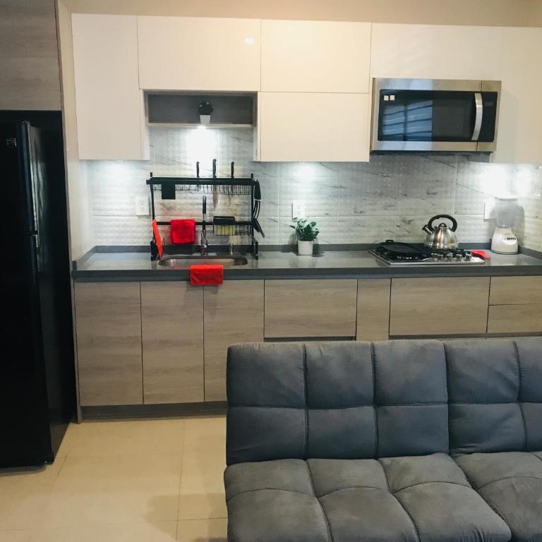 Depa Arena y Fundidora - One-Bedroom Apartment - 13