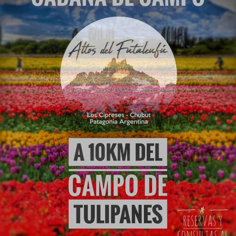 Cabaña de CAMPO Altos del Futaleufu sobre COSTA DE RÍO - One-Bedroom Chalet - 3