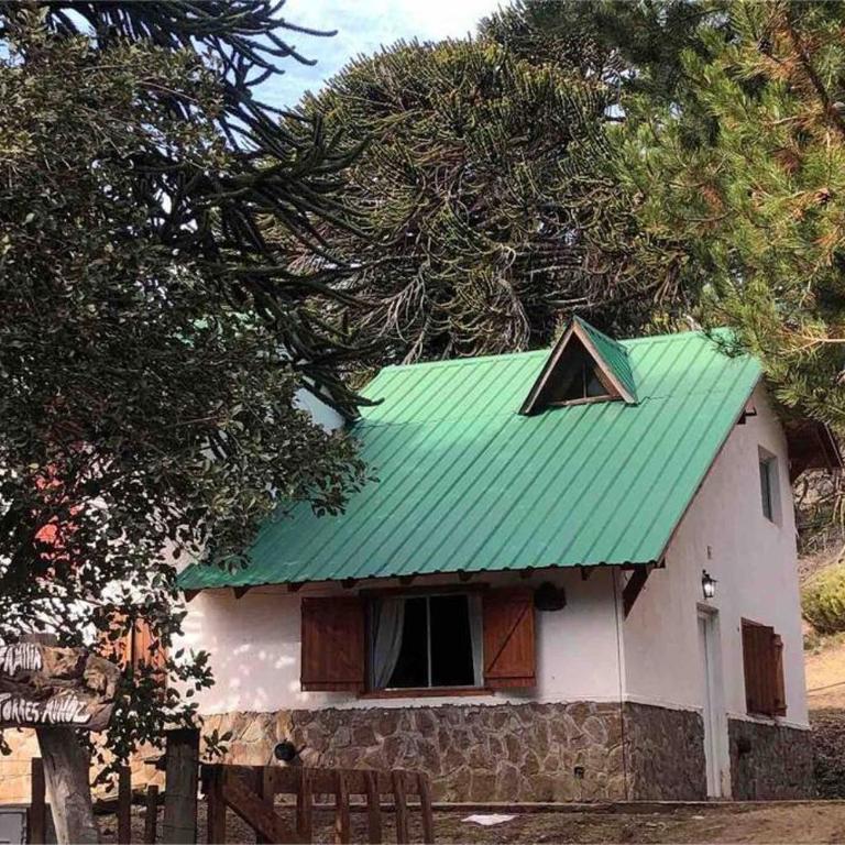 Casa Pehuenia, linda cabaña a pasos del Lago - Casa de 2 dormitorios - 1