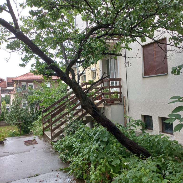 Apartman Milic - Apartman sa 1 Spavaćom Sobom - 3