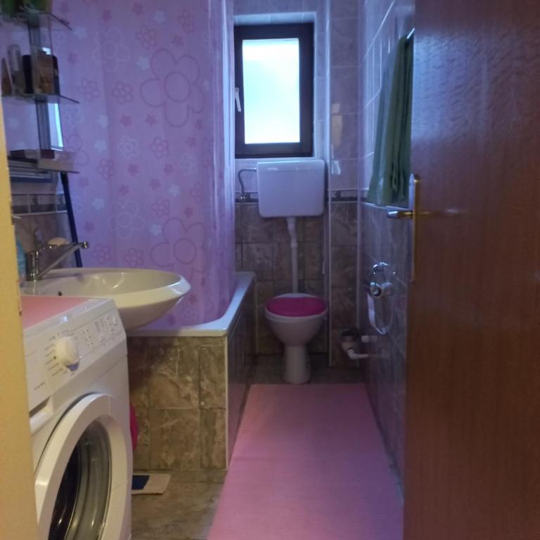 Apartman Milic - Apartman sa 1 Spavaćom Sobom - 7