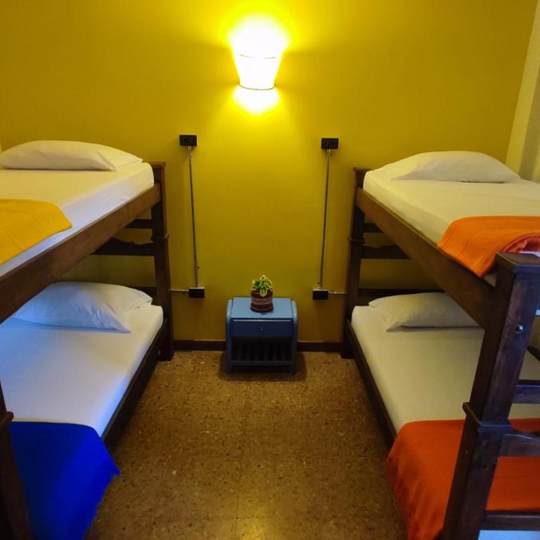 Macondo Hostel - Cama en habitación compartida mixta de 4 camas - 2