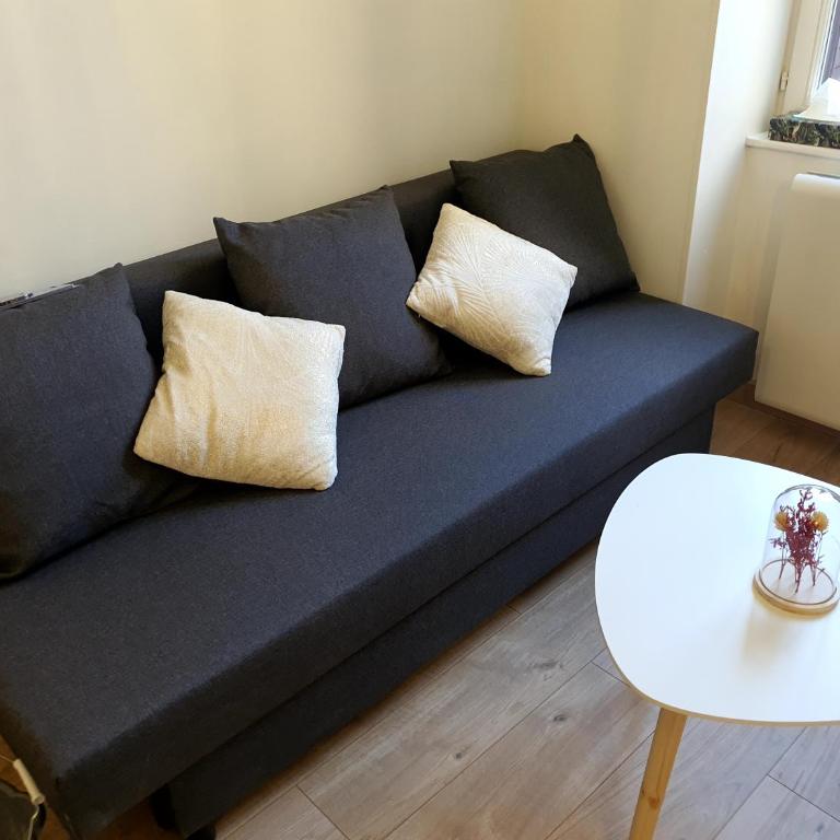Appartement cosy entier, parking gratuit dans la rue - Appartement 1 Chambre - 4