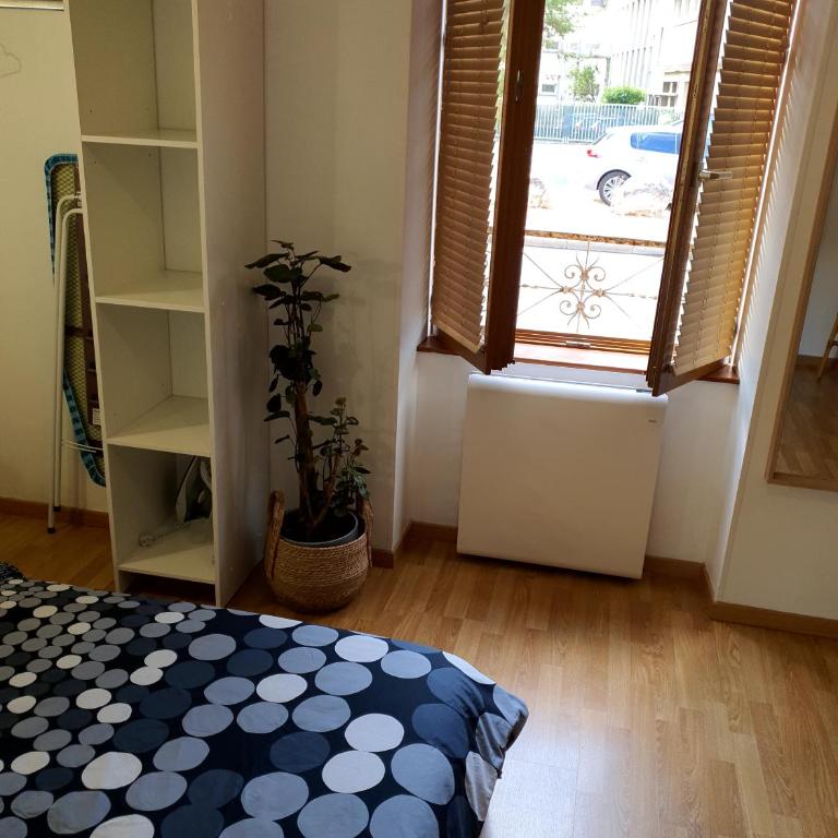 Appartement cosy entier, parking gratuit dans la rue - Appartement 1 Chambre - 12