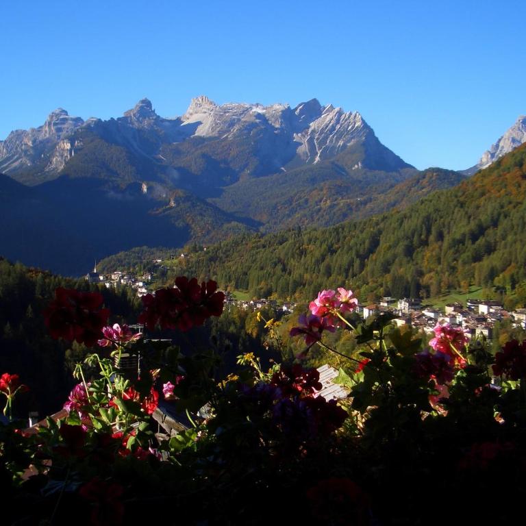 Dormì & Disnà - Appartamento con 1 Camera da Letto e Vista Montagna - 9