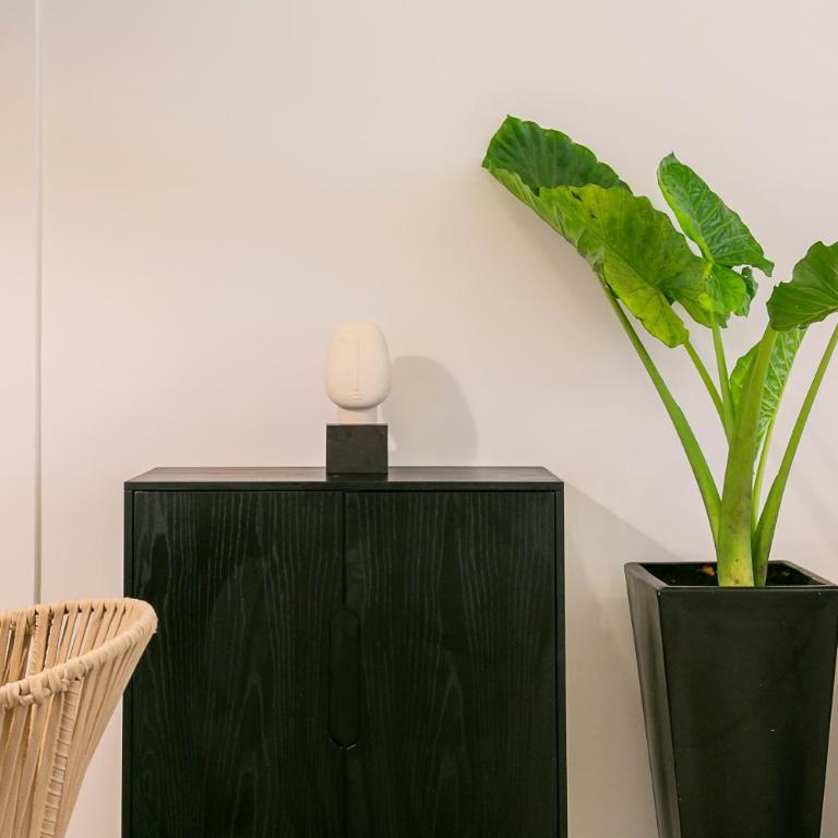Lumina at Noma Condesa Mexico City - Apartamento de 1 dormitorio - 13