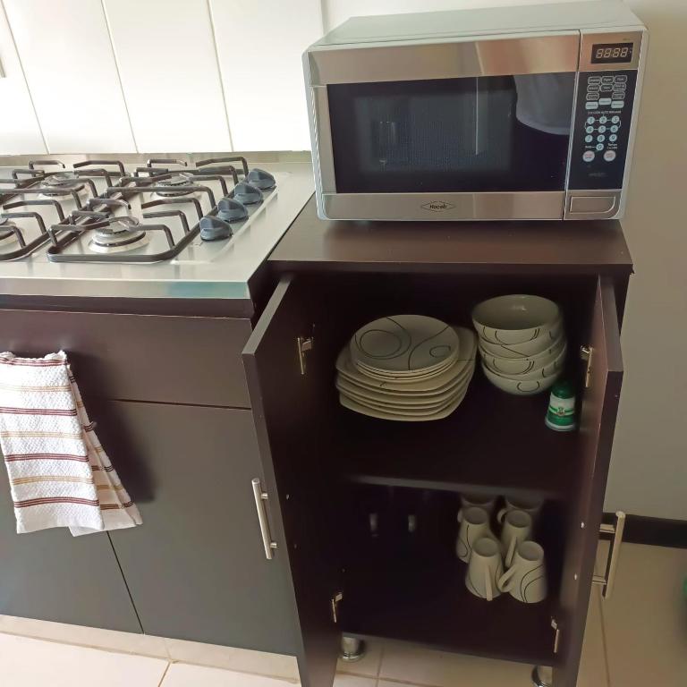 Apartamento cerca parque del Café con Piscina - Apartamento - Planta baja - 15
