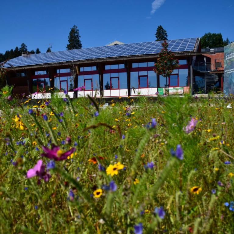 Rosenalm - Unterkunft mit Pool und Sauna im Allgäu - Appartamento - 27