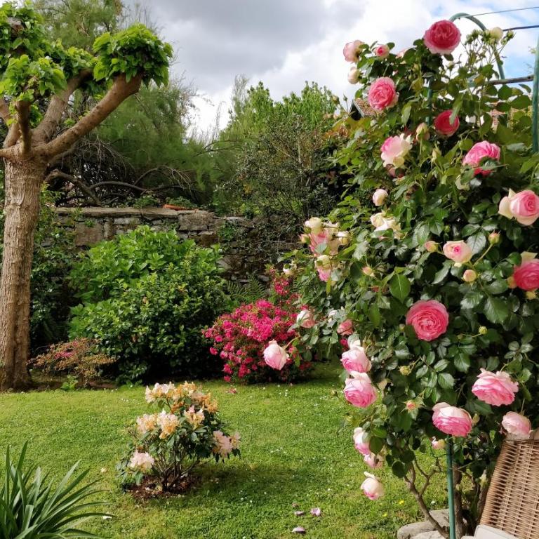 Villa Pare Gabea - 1 ou 2 chambres, jardin privatif 600m2 - Anglet - Appartement 2 Chambres avec Terrasse - 2