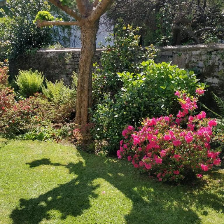 Villa Pare Gabea - 1 ou 2 chambres, jardin privatif 600m2 - Anglet - Appartement 2 Chambres avec Terrasse - 19