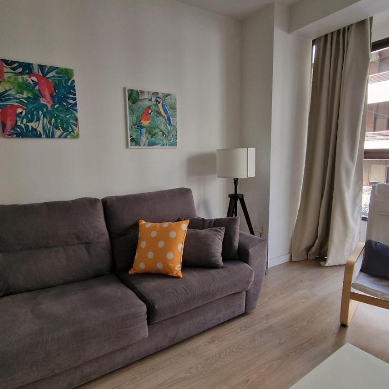 IMEDA APARTAMENTOS RECOGIDAS - One-Bedroom Apartment - 12