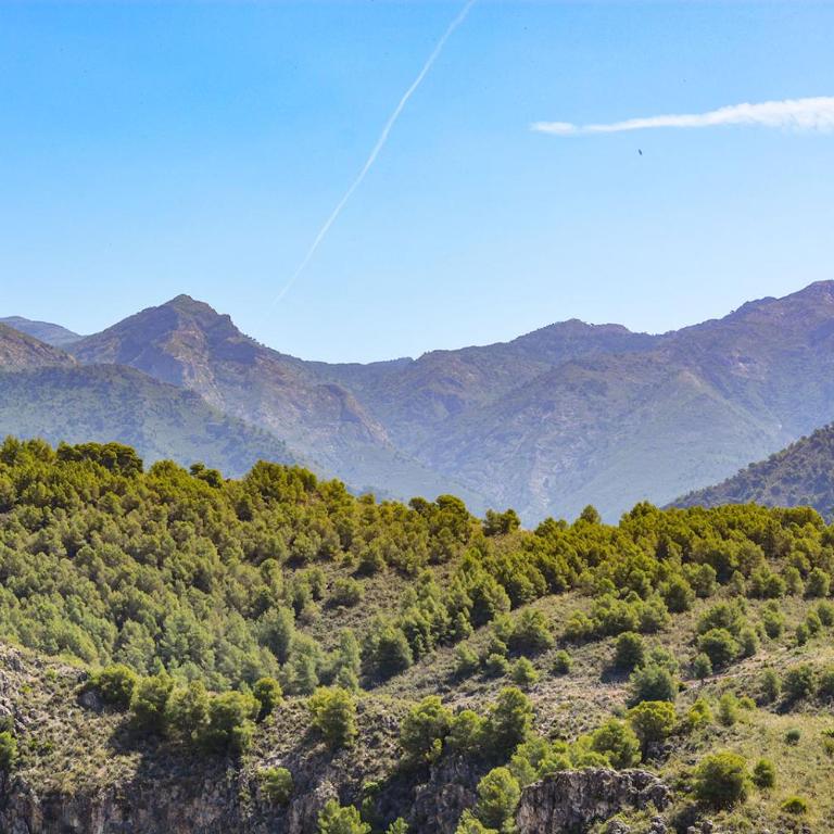 Apartamento la vista, Frigiliana 2 bedroom apartment with amazing views, pool and free private parking HansOnHoliday Rentals - Apartamento de 2 dormitorios - 8