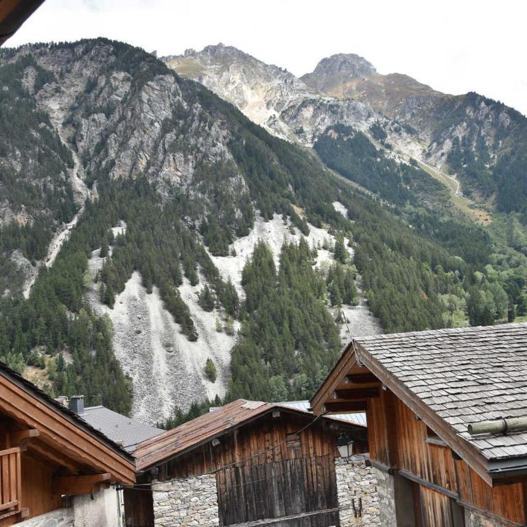 Charmante Maison de Village Rénovée - Près de Pralognan-La-Vanoise, 10 Pers, 3 Niveaux, Balcon Sud - FR-1-464-203 - Chalet - 14