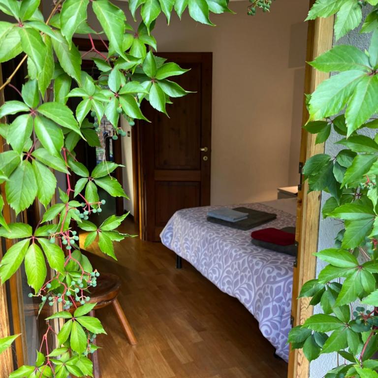 Chalet Blanc "Le Flocon" - Appartamento - 14