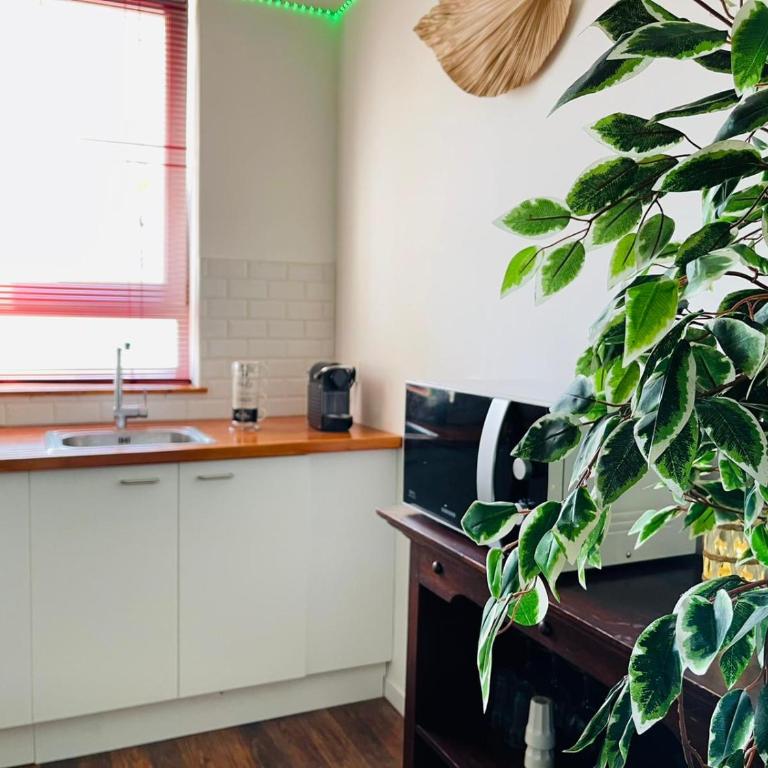 BaLille - Apartment mit 1 Schlafzimmer - 25