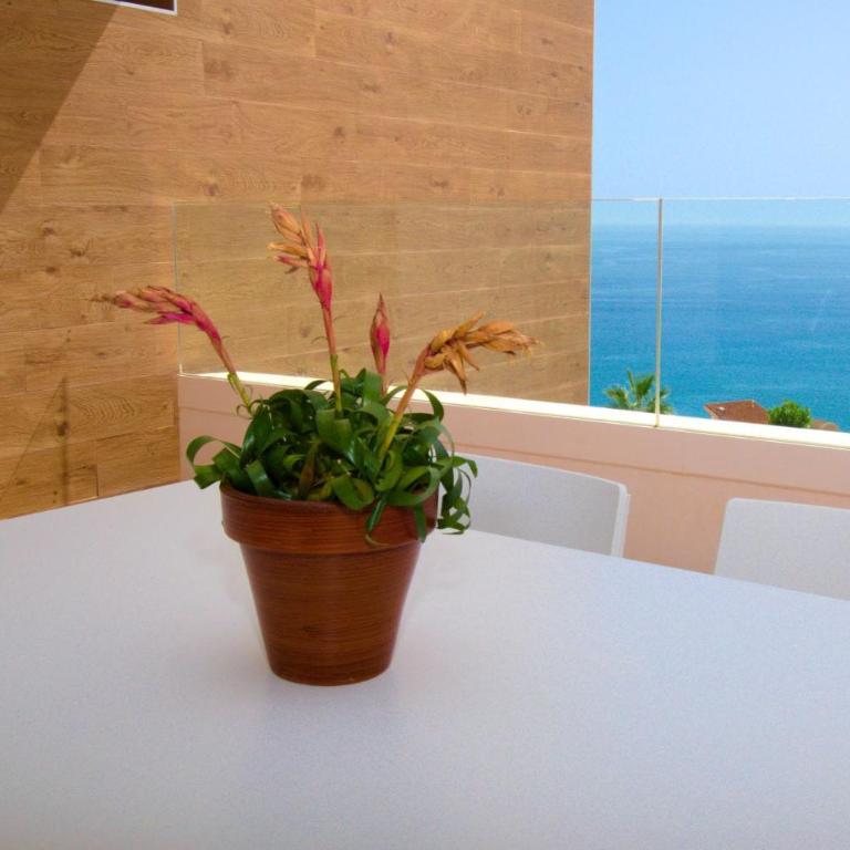 APARTMENT BY THE SEA CALACEITE - Apartamento de 1 dormitorio - 27