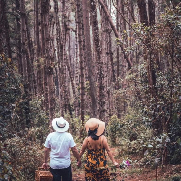 Villa Celina: La cabañita de Guadua - Chalet de 2 dormitorios - 13