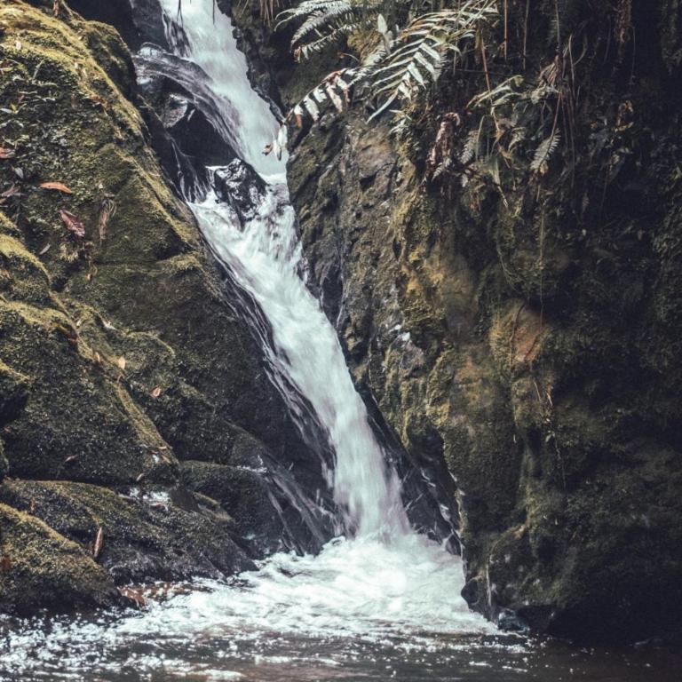 Villa Celina: La cabañita de Guadua - Chalet de 2 dormitorios - 16