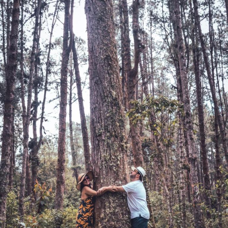 Villa Celina: La cabañita de Guadua - Chalet de 2 dormitorios - 14