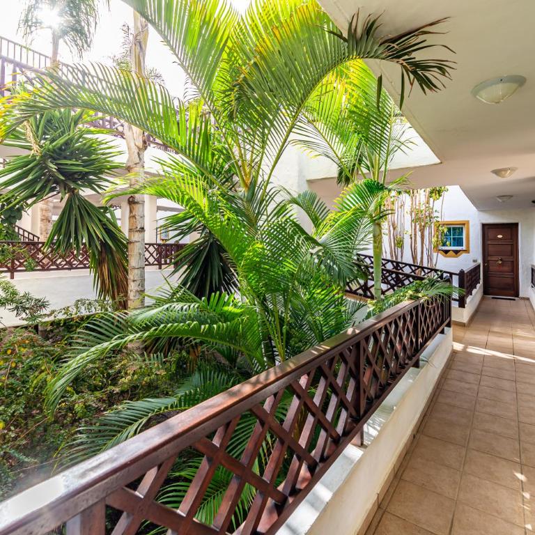 Perla Marina en Rocas del Mar - Apartamento de 1 dormitorio - 14