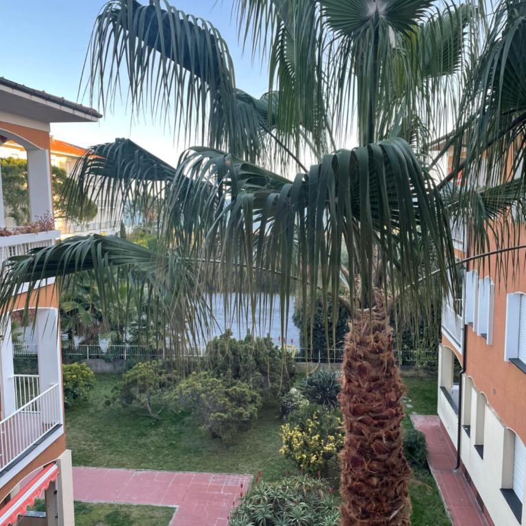 Spazioso appartamento a Diano Marina - Apartamento de 2 dormitorios - 14