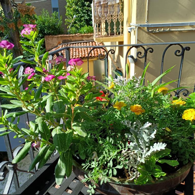 Appartamenti Borghetto San Donato 105 - Apartment with Terrace - 5