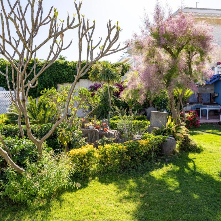 Casa Azzurra - Appartamento con 2 Camere da Letto - 32