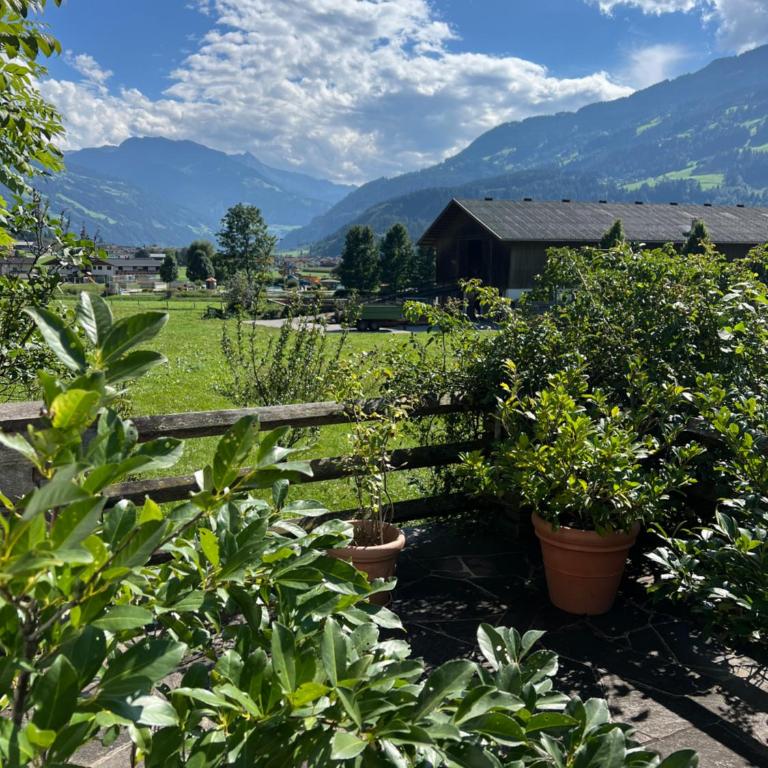 Landgasthof Hotel Linde - Apartment mit Terrasse - 19