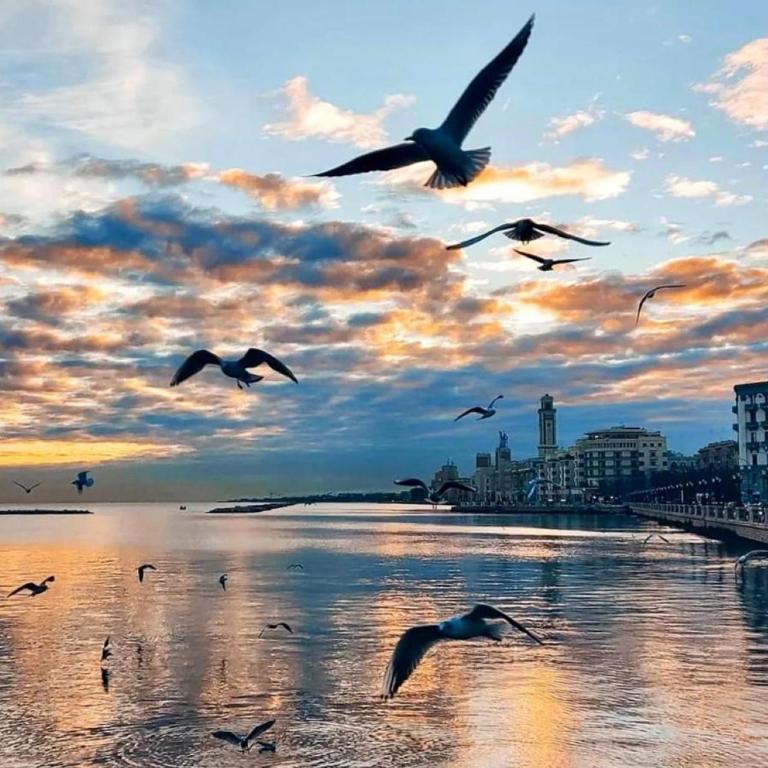 Casa Gio' Bari - Appartamento con 1 Camera da Letto - 7