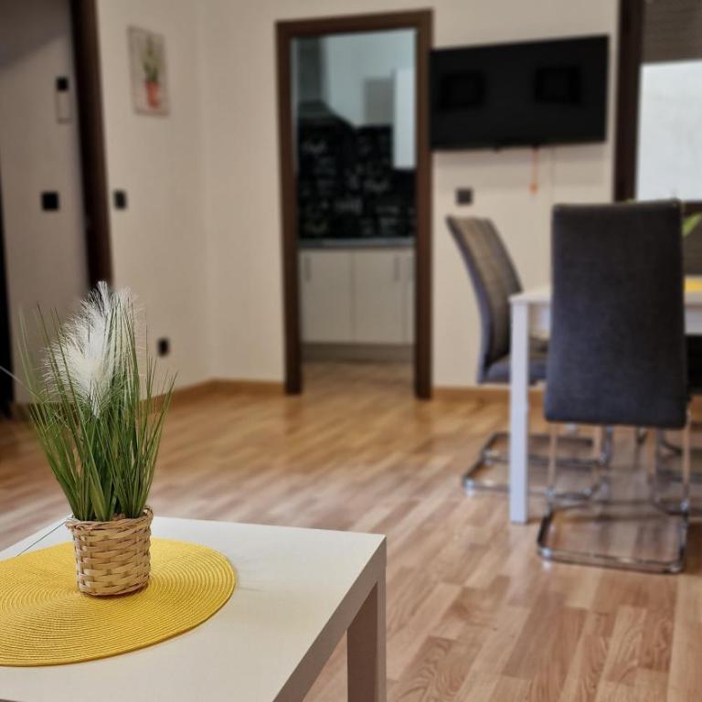 Imeda Apartamentos Escudo del Carmen 19 - Three-Bedroom Apartment - 3