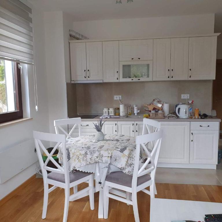Vila Irina Kopaonik - Apartman sa Pogledom na Planinu - 16