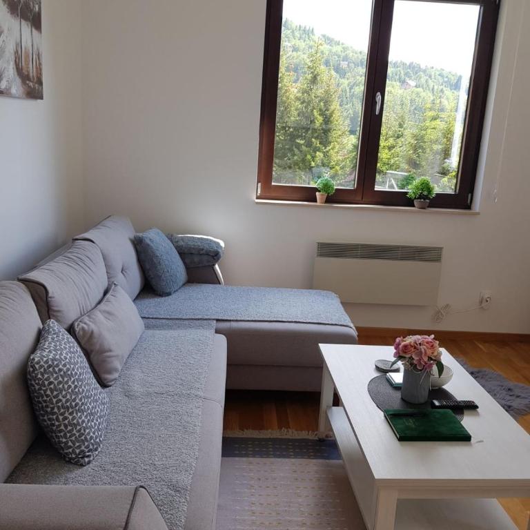 Vila Irina Kopaonik - Apartman sa Pogledom na Planinu - 10