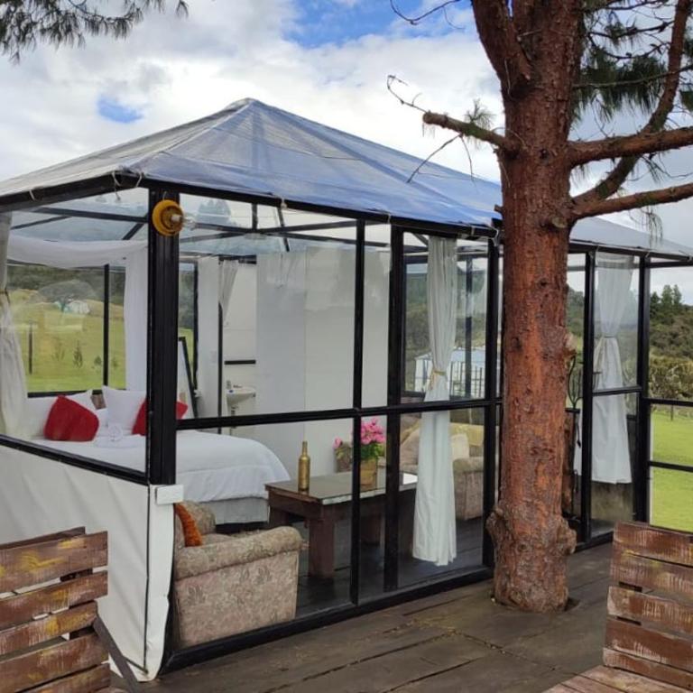 tu glamping s a s - Suite Deluxe - 1