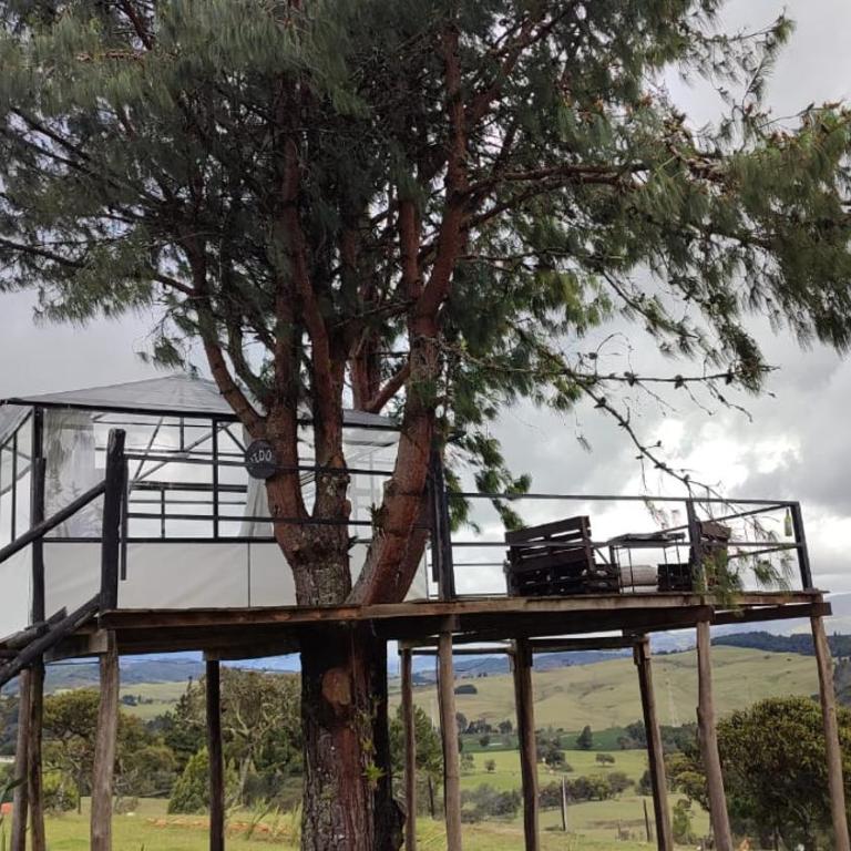 tu glamping s a s - Suite Deluxe - 3