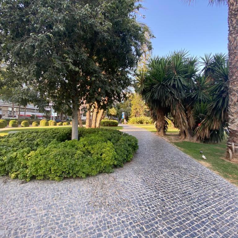 City loft puerto deportivo - Apartamento de 1 dormitorio - 26
