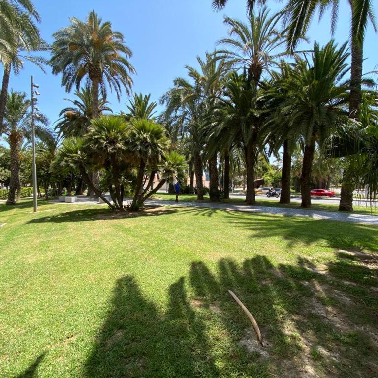 City loft puerto deportivo - Apartamento de 1 dormitorio - 20