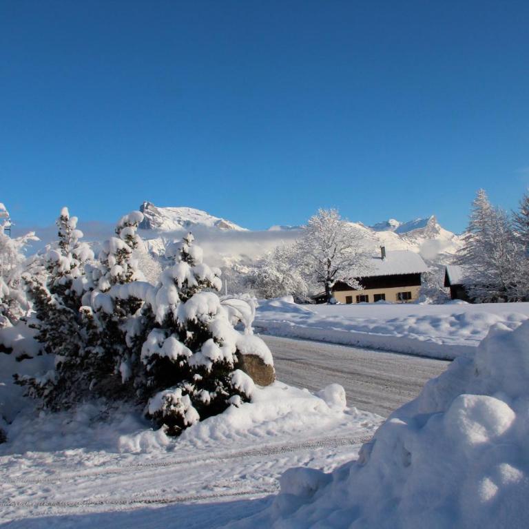 appartement 103m2 près de Megève, face à télécabine la Princesse,2 chambres , garage, local à ski - Appartement 2 Chambres - 48