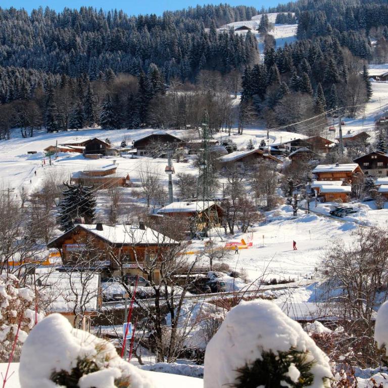 appartement 103m2 près de Megève, face à télécabine la Princesse,2 chambres , garage, local à ski - Appartement 2 Chambres - 47
