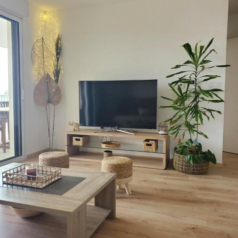 Appartement T2 sur Mauguio avec grande terrasse - Apartment mit 1 Schlafzimmer - 1